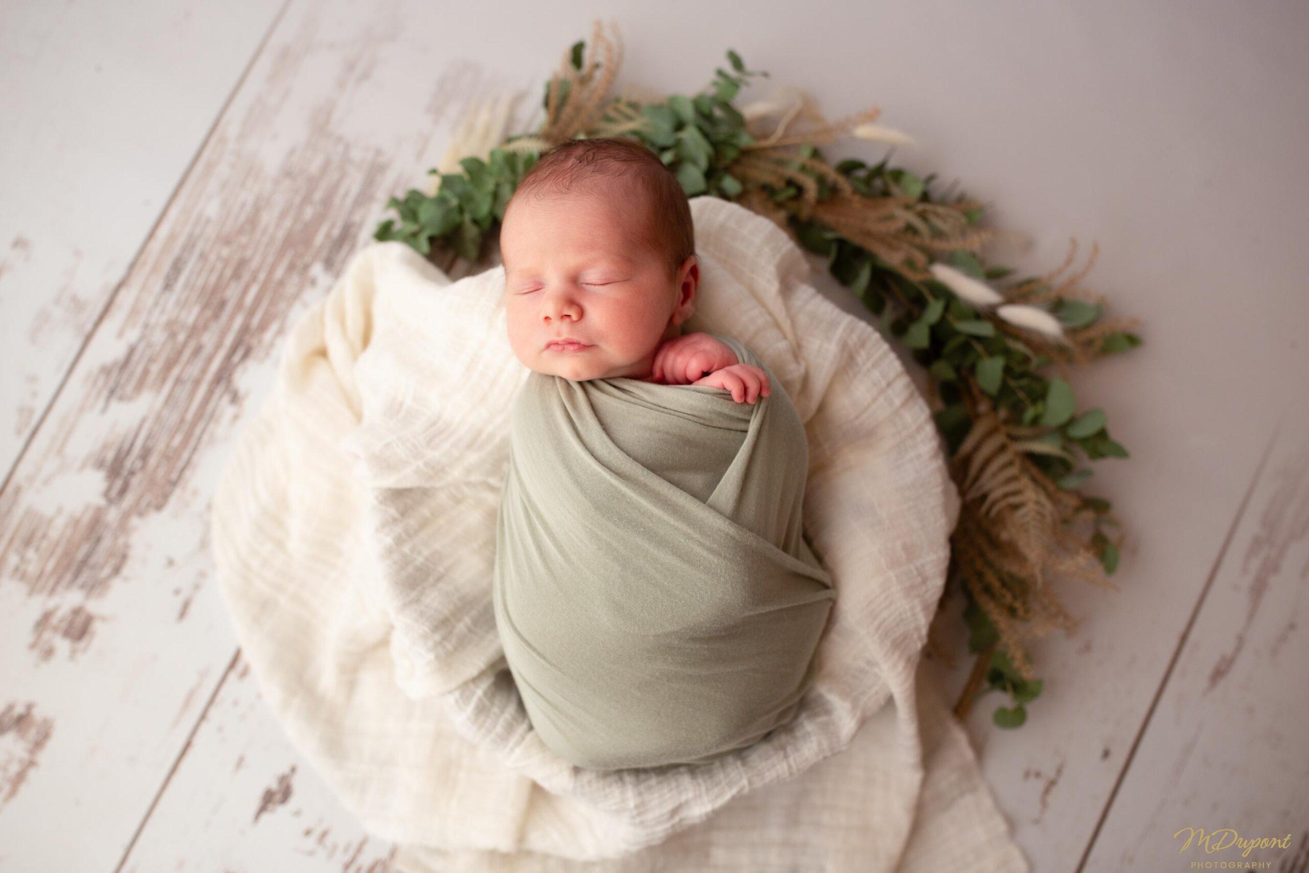 MDupont Photography 00038